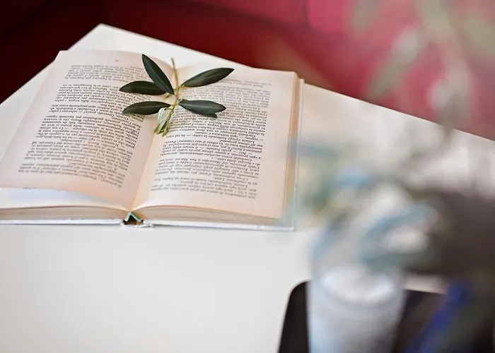 Luna Сasa de vacaciones *